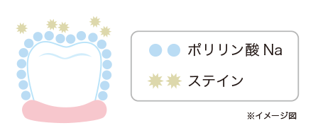ポリリン酸ホワイトニングの特徴